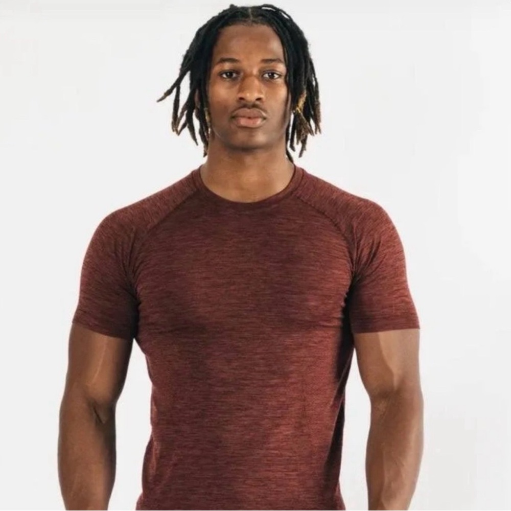Alphalete Men's Hero Seamless Tee in Sparrow: Medium